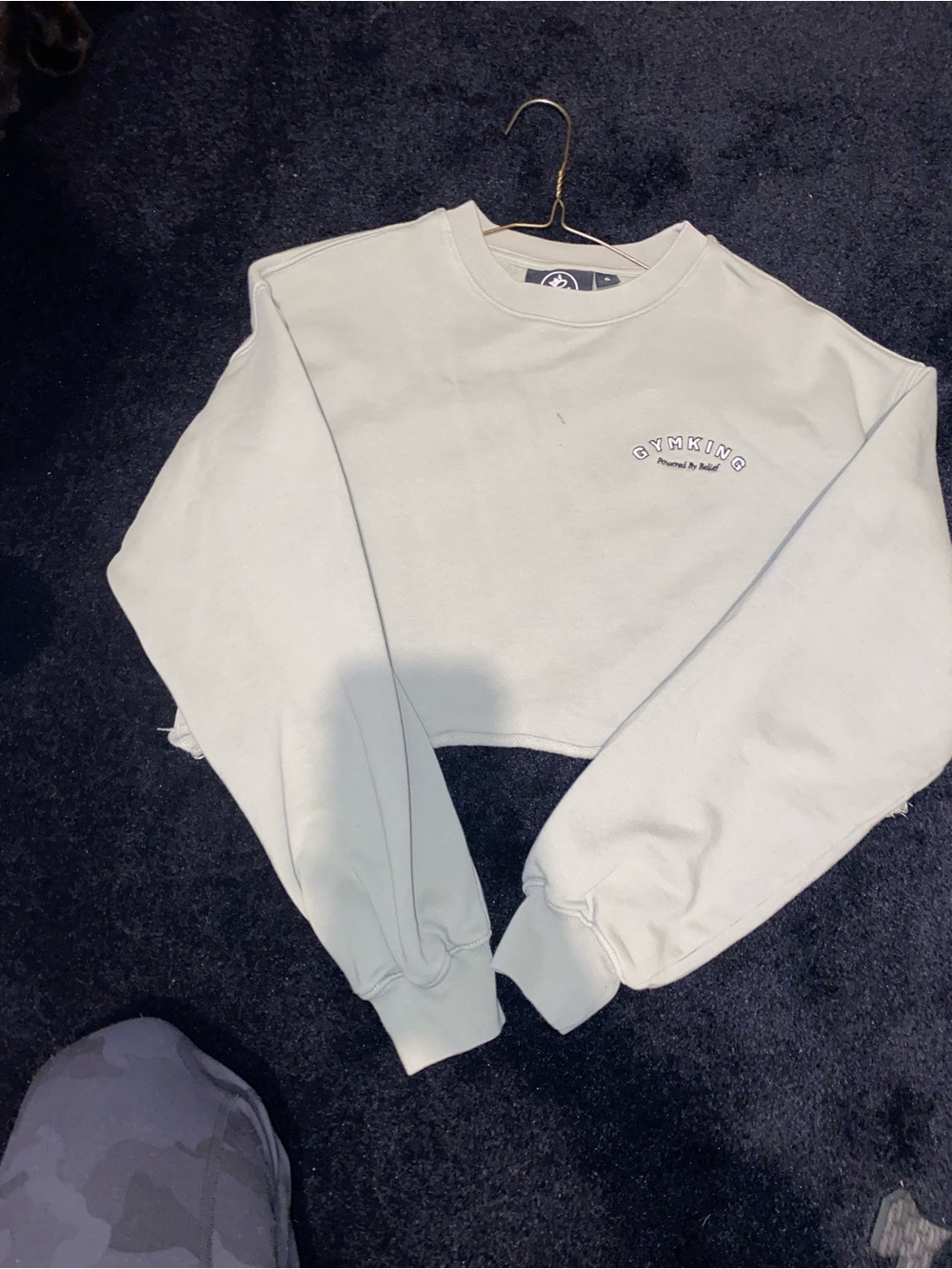 GymKing Cropped Crewneck Sweater in Sage Green